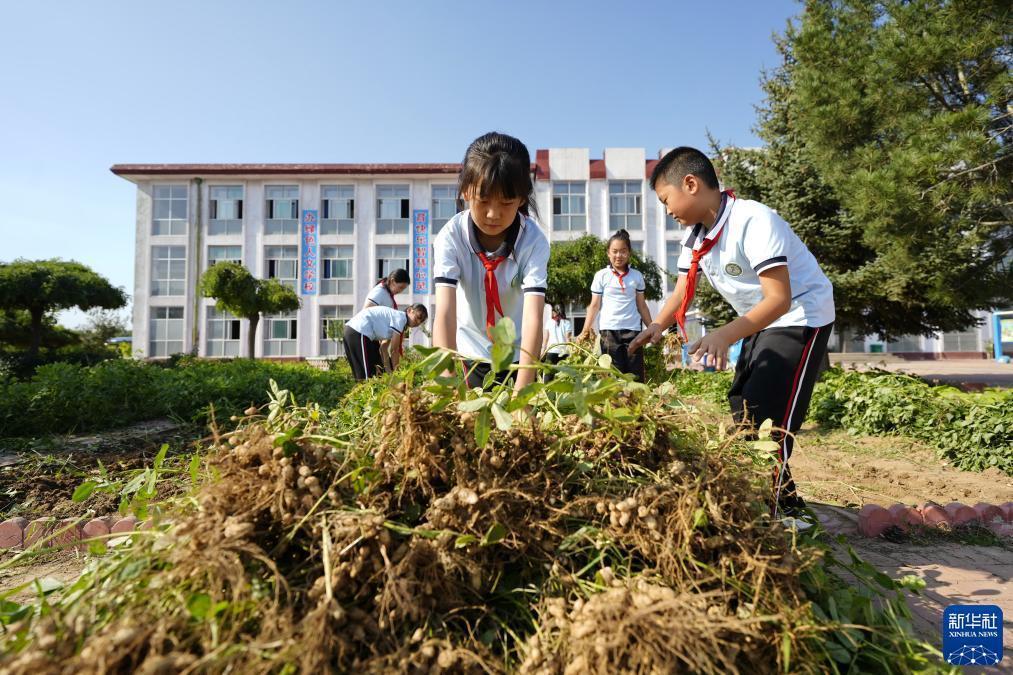 大奖网登录